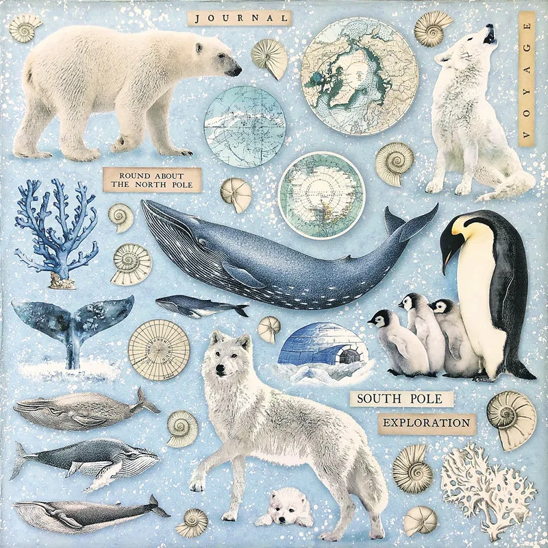 Arktik Okyanusu Hayvanlar Sticker DIY Craft Scrapbooking Albümü Önemsiz Günlüğü Dekoratif Çıkartmalar
